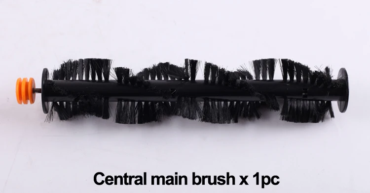 D6601 Central main brush.jpg