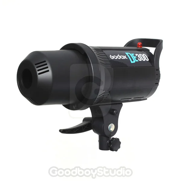 2 шт. Godox de-300 300 Вт 300Ws Compact Flash Studio Strobe Light головы 220 В 230 В X2