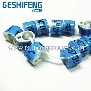 

Modern design iComRing BELG ring use for pigeon for hot selling