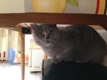 S***r