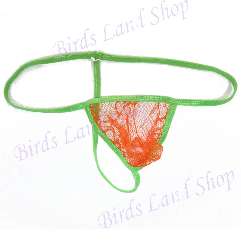 G3679-orange-1-_new(2)