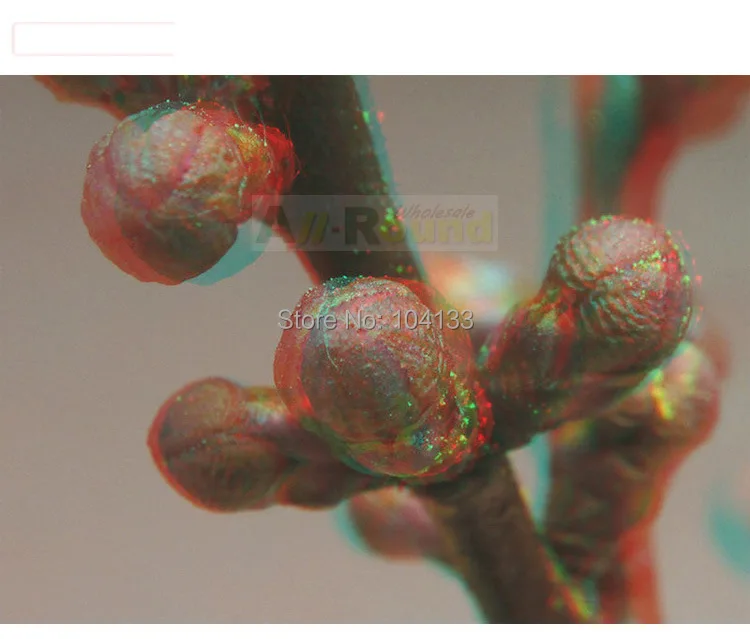 Hot Universal Paper Anaglyph 3D Glasses Paper 3D Glasses View Anaglyph Red Cyan Red/Blue 3D Glass For Movie EF Video