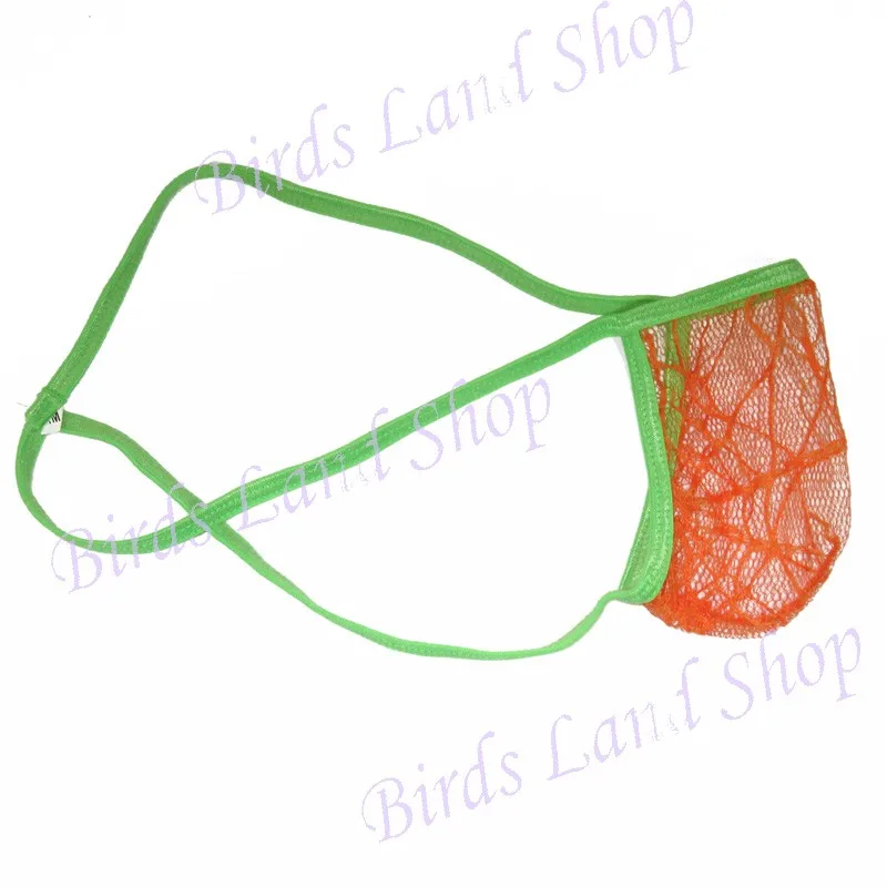 G3679-orange-4-_new(2)