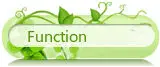 Function-06