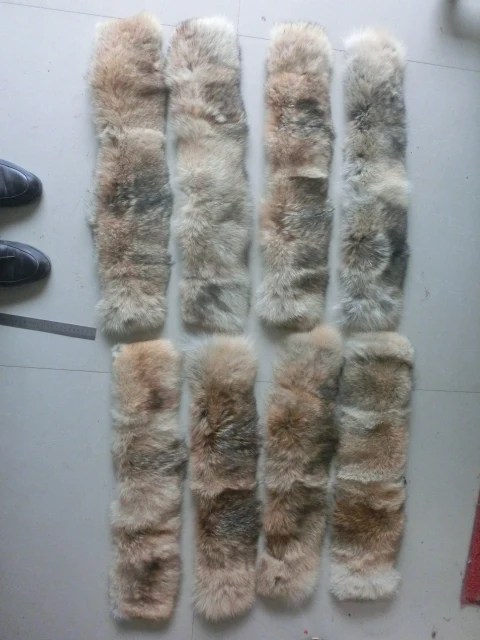 Заводская цена новый продукт Койот меховая кожа для воротника|fur skin|coyote skinskin fur |