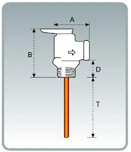 Diagram of PT valve.jpg