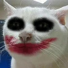 E***n