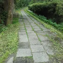 G***a