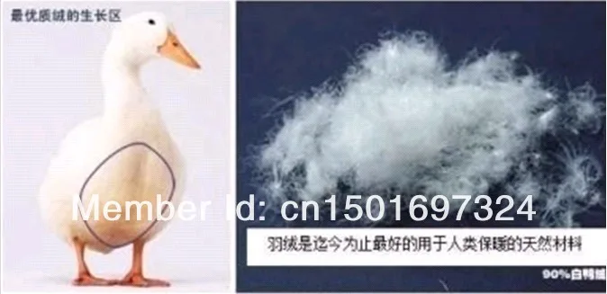 QQ20130811153622.jpg