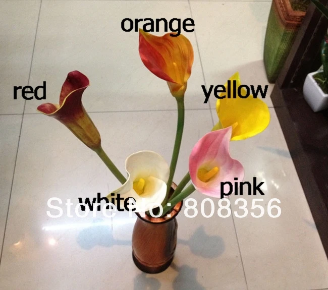 548.jpg