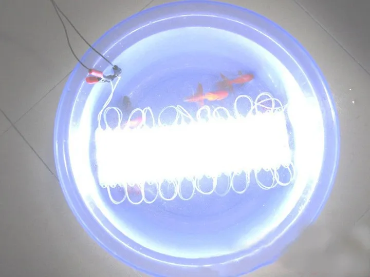 T2VKhdXjhMXXXXXXXX_!!465304081