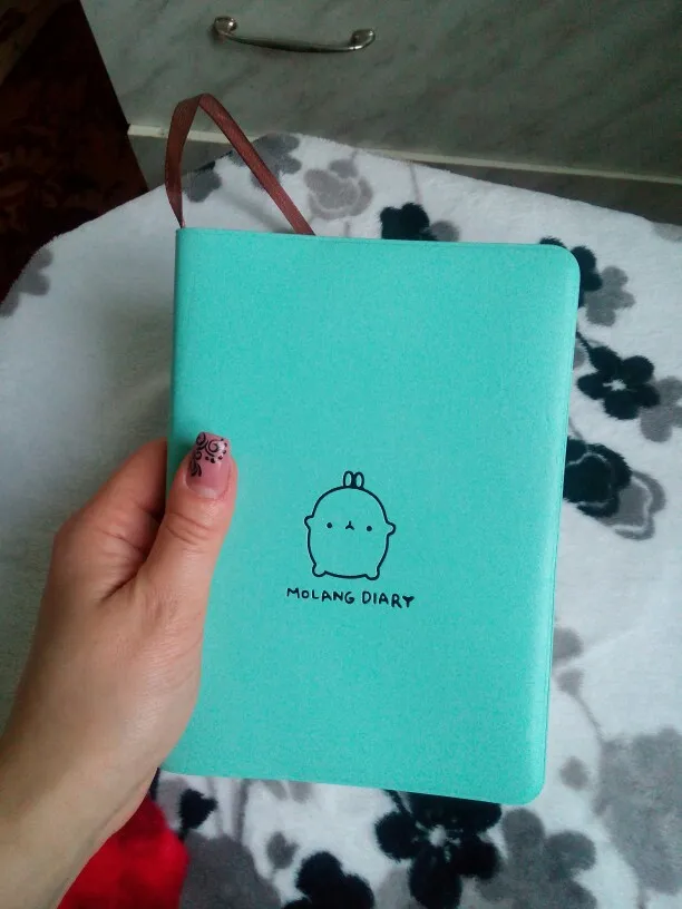 Ежедневник в стиле Kawaii за 274 руб. с Алиэкспресс