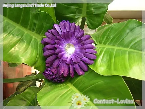 Бесплатная доставка xms's flowerwholesale 40% скидка 4 inch Гербера цветок ромашка + повязка на голову + клип toghter Дети Глава подарок для малышей /Xma