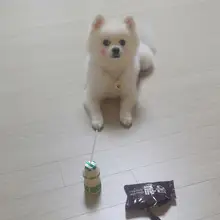 s***k