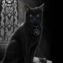 V***h
