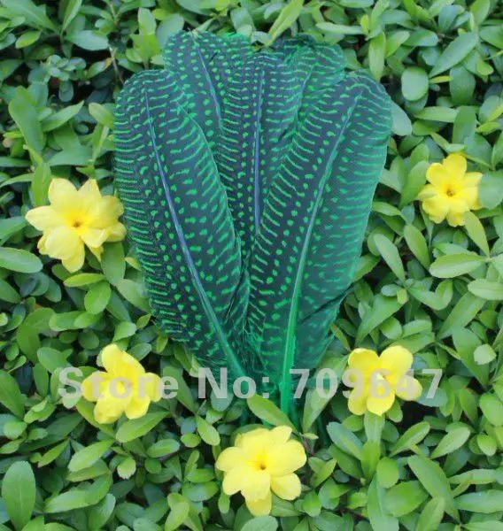 New!100pcs/Lot 13-16cm Guinea Fowl Wing Feather 6Colour Available  free shipping 