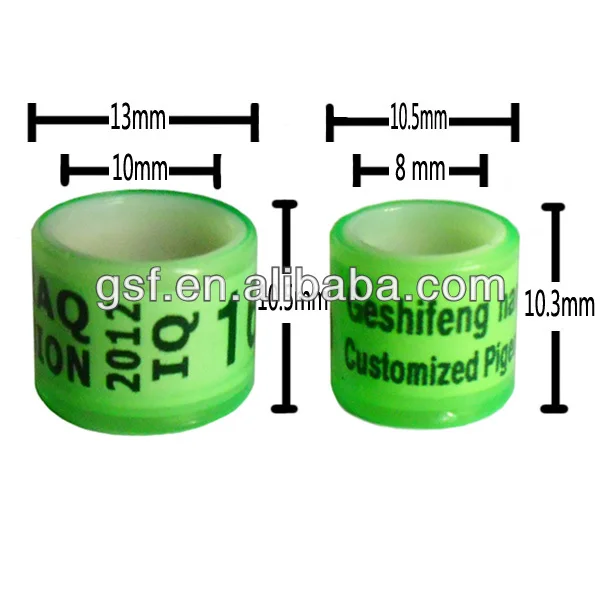 GSF-PPPR
