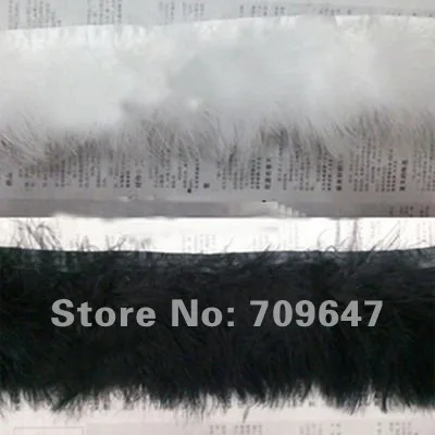 FCT0012