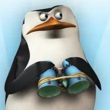 Y***a
