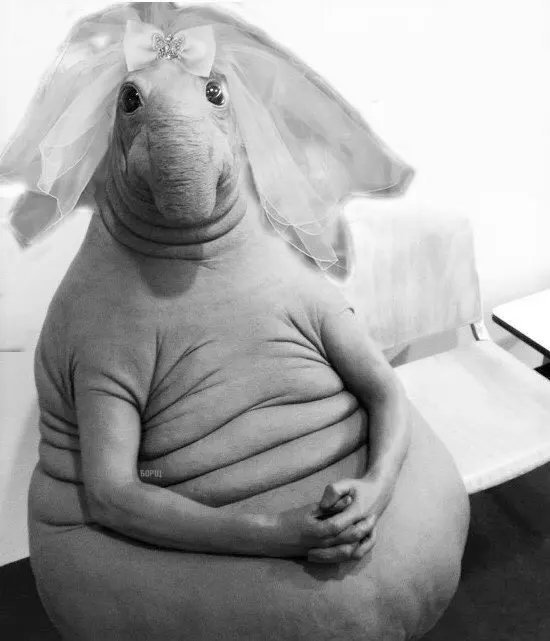 Ждун. Сижу жду. Сижу жду прикол. Ждун сижу жду