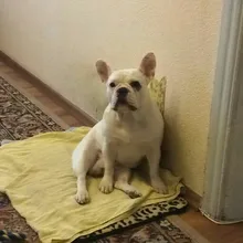 M***a