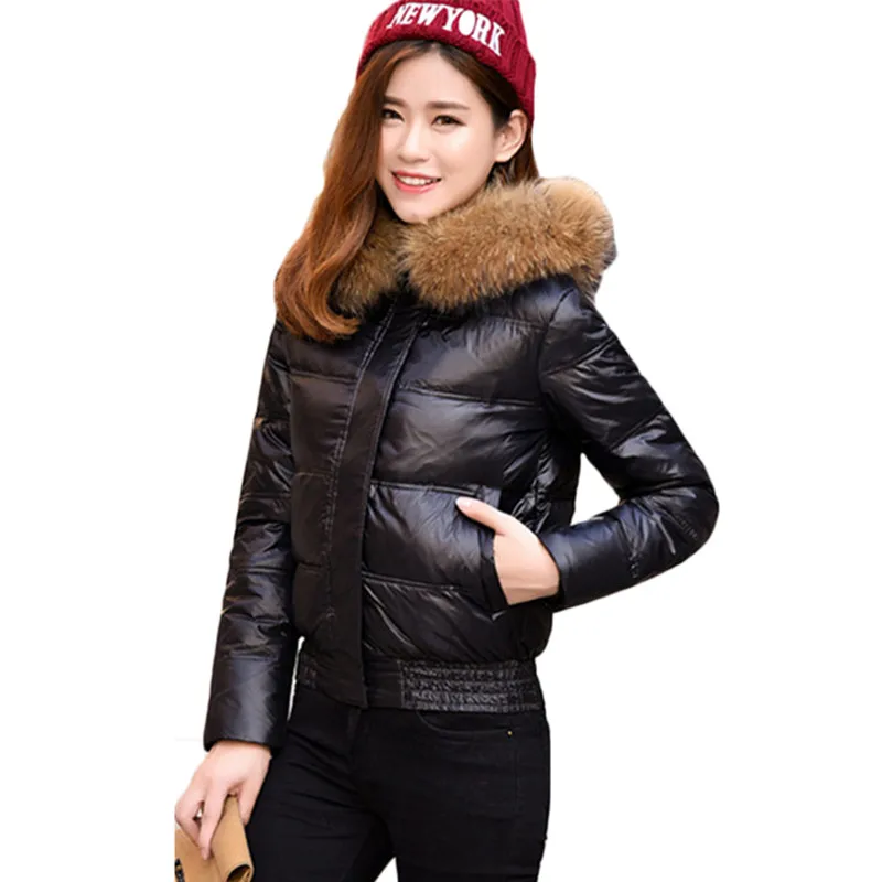 HIJKLNL Новая модная зимняя женская куртка из меха енота короткая пуховая куртка большого размера, натуральный мех воротник теплое зимнее пальто женские DX651 - Цвет: black