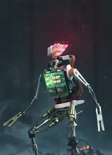 D***k