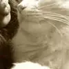 M***a