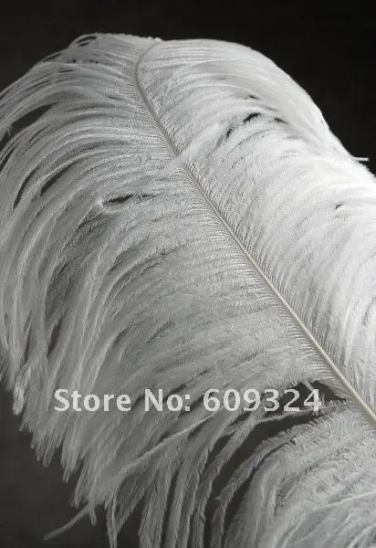Префект страуса Перо Pure White 22-2" Свадебные украшения свадебного стола центральным