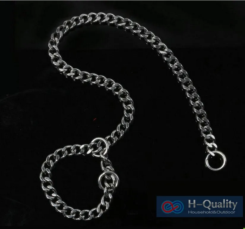 dog collar 2