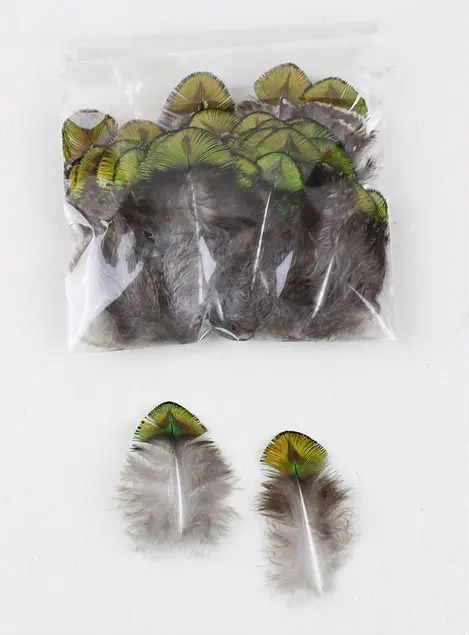 Hot! 100pcs/Lot 2-4" 4-10cm Washed Gold Peacock Plumage Feathers Free shipping