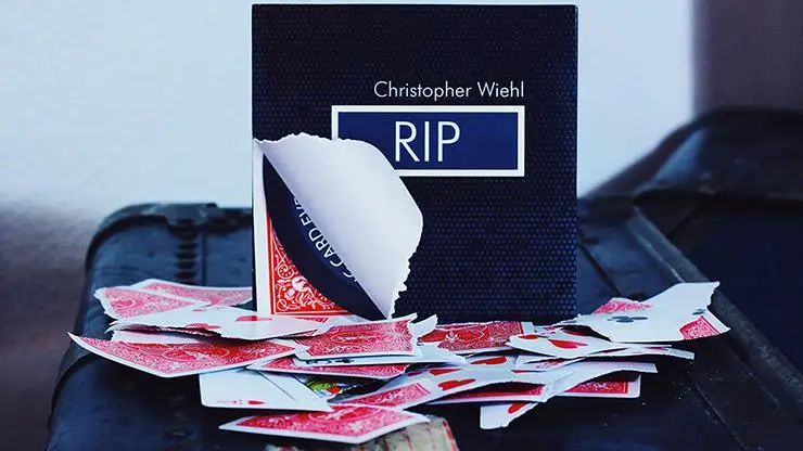 2016 RIP by Christopher Wiehl-magic