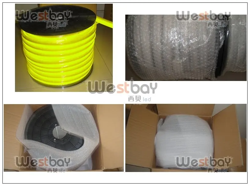 neon package.jpg