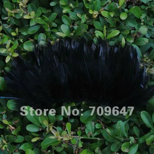 600pcs/Lot 2-4inch 6-9cm Multi-Colors Natural Rooster feathers 12colours available  free shipping