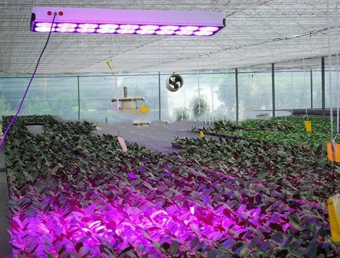 Высокая мощность Led 1 Вт синий красный и полный спектр 400-840nm светодиодный чип с высоким качеством
