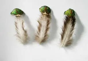 Hot! 100pcs/Lot 2-4" 4-10cm Washed Gold Peacock Plumage Feathers Free shipping