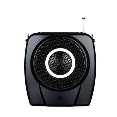 Takstar E9M отдых Фитнес громкоговорители беспроводной пульт дистанционного управления мультимедиа запись FM мегафон Поддержка U flash TF карта