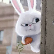 A***a