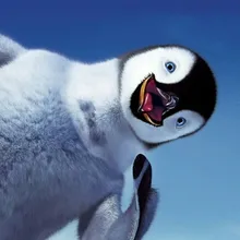 a***a