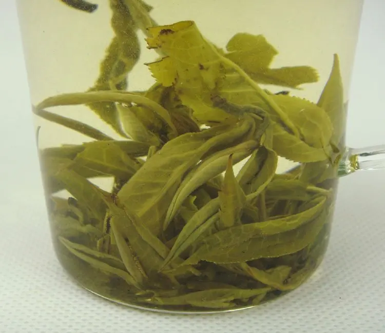 clb0211