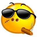 V***R