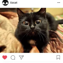 C***y