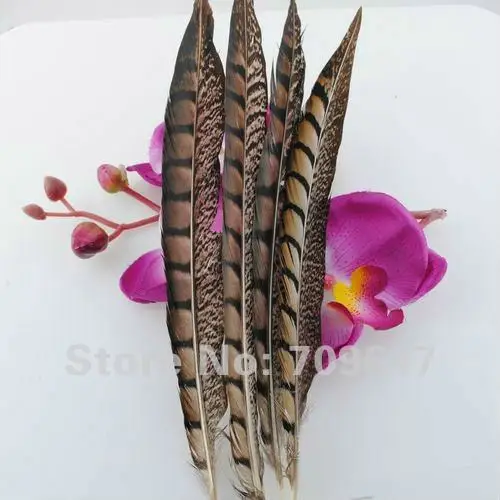 New arrival! 50pcs/Lot 10-12" 25-30cm Beautiful Pheasant Tail Feather Color Tips Free shipping