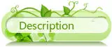 A+ Качество Супер Мини ELM 327 Bluetooth с сканирующей бумагой OBD II V2.1 работает на Android Крутящий момент