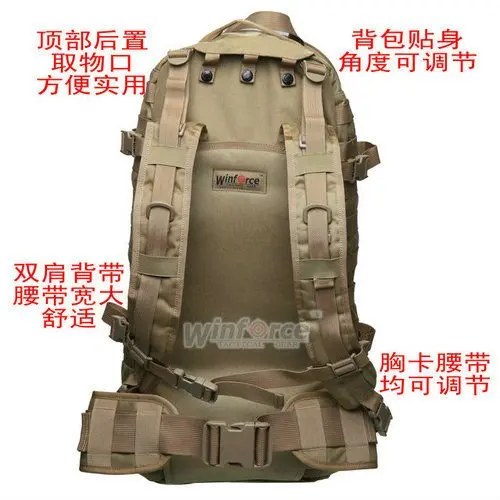 WP-02 _3