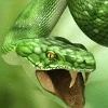 G***v