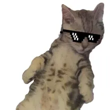 E***a
