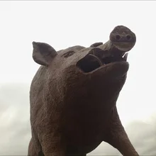 E***s