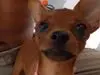 L***s