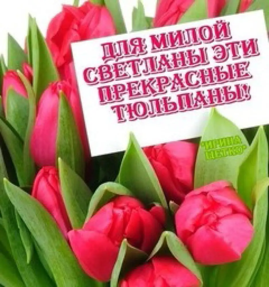 Поздравления с днем рождения Светлане Поздравления с днем рождения Светлане